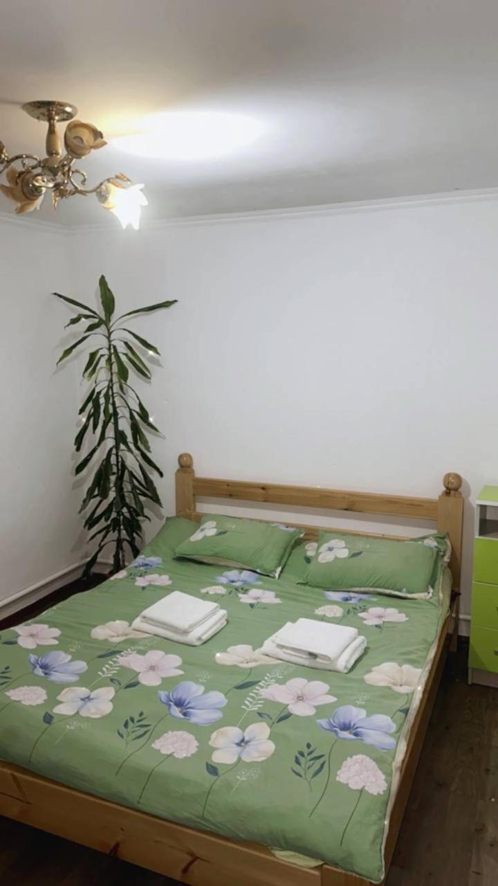 Rozalinda Guesthouse Naryn Buitenkant foto
