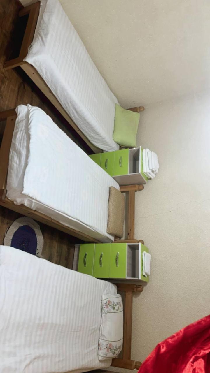 Rozalinda Guesthouse Naryn Buitenkant foto